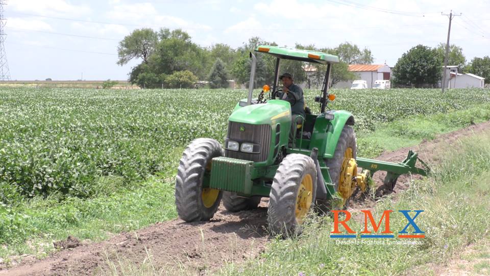 CON EL CULTIVO DE LA SOYA, LA SECRETARIA DE DESARROLLO RURAL EN TAMAULIPAS BUSCA MEJORAR INGRESOS DE LOS PRODUCTORES, ANTE LA FALTA DE APOYOS DE LA FEDERACIÓN.