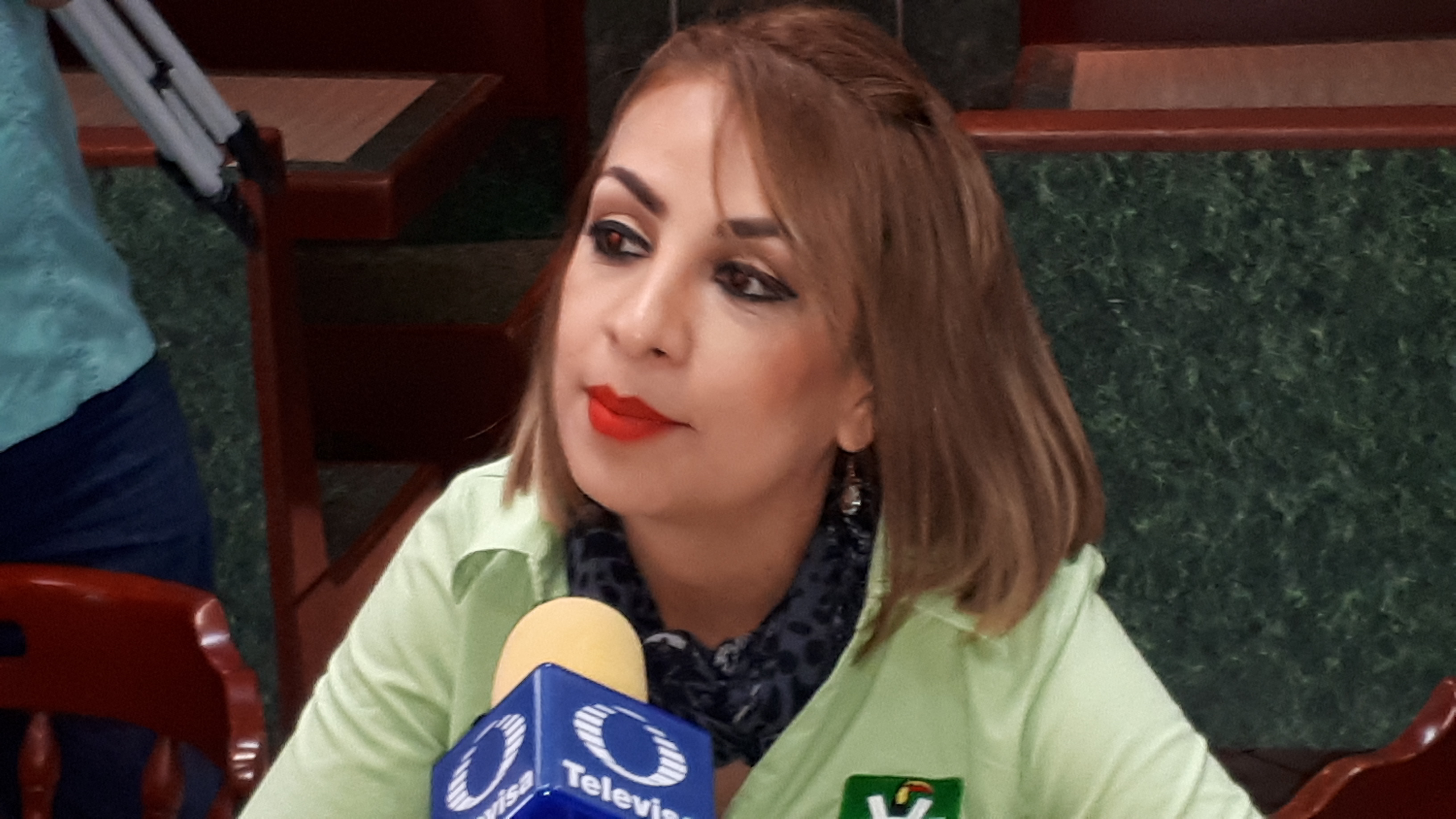 Candidata del verde lanza reto del polígrafo