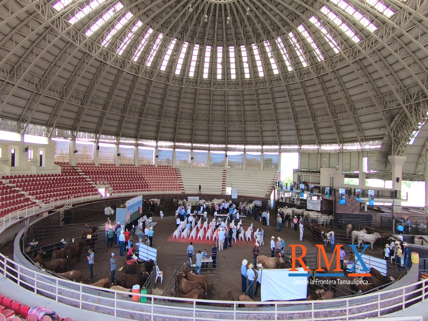 DISPERSA PROGRAMA DE ”MEJORAMIENTO GENÉTICO TAM 2018”, MÁS DE 2 MIL TOROS A MITAD DE PRECIO.