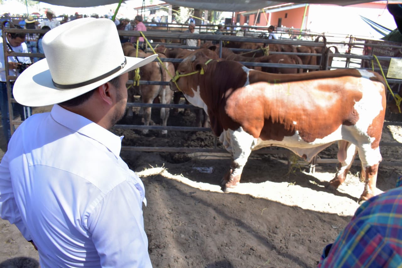 Nuevo Laredo y Camargo se beneficiarán con el programa de Mejoramiento Genético.