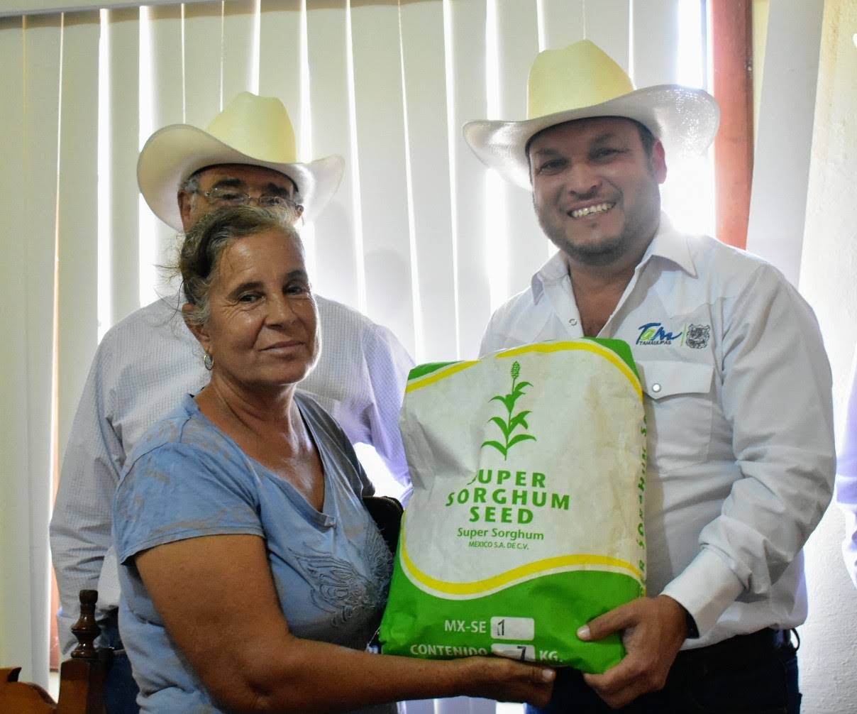 Agricultores de seis Distritos de Desarrollo Rural recibieron 11.7 ton de semilla de súper sorgo