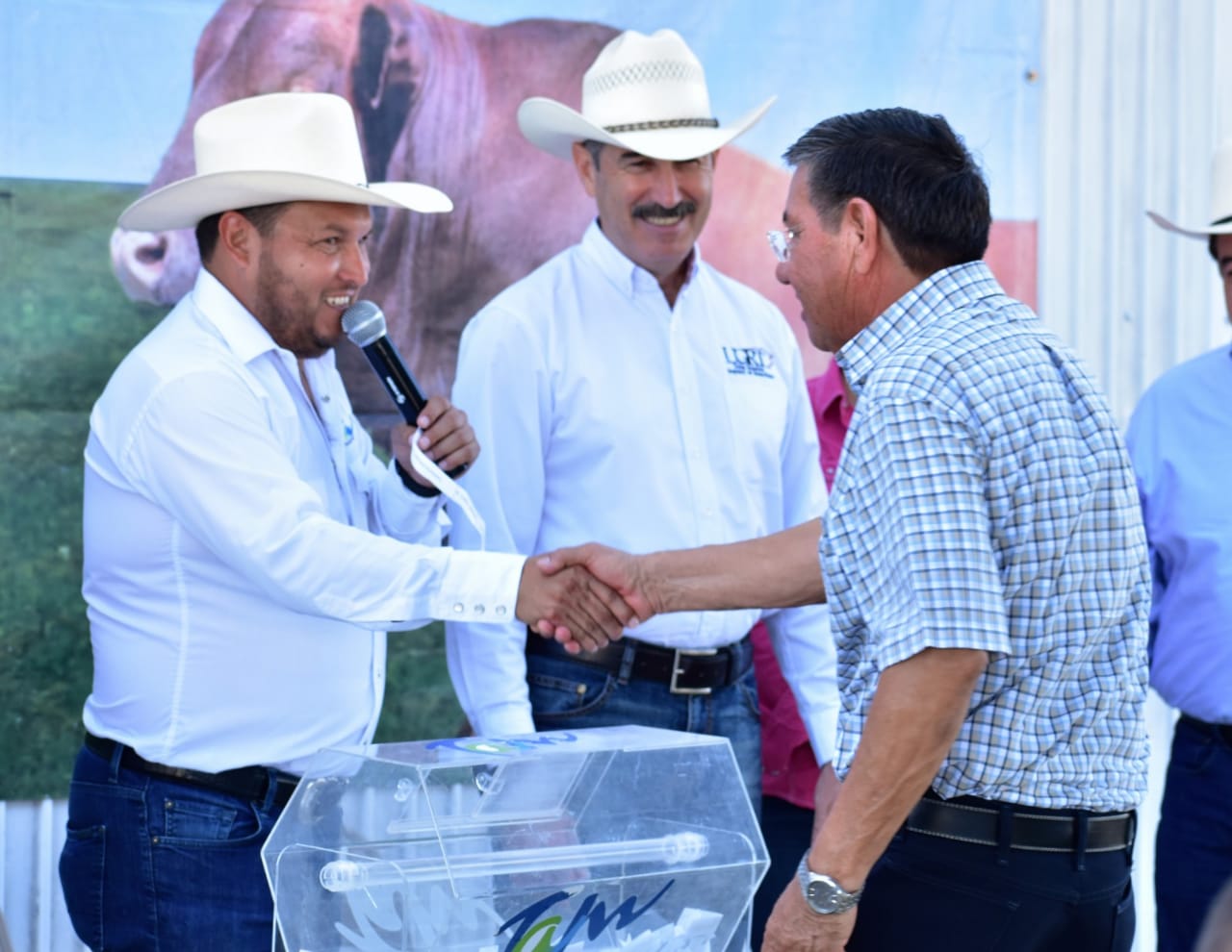 Con 224 sementales de registro, Gobierno de Tamaulipas fortalece la ganadería en la frontera