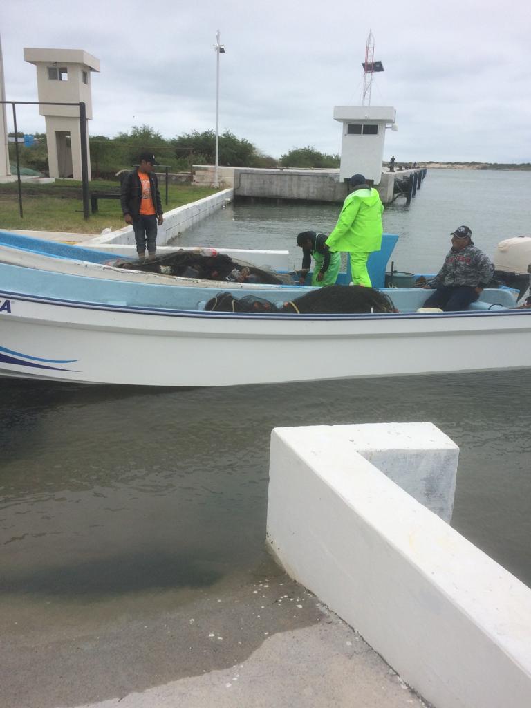 Combate Gobierno de Tamaulipas pesca irregular