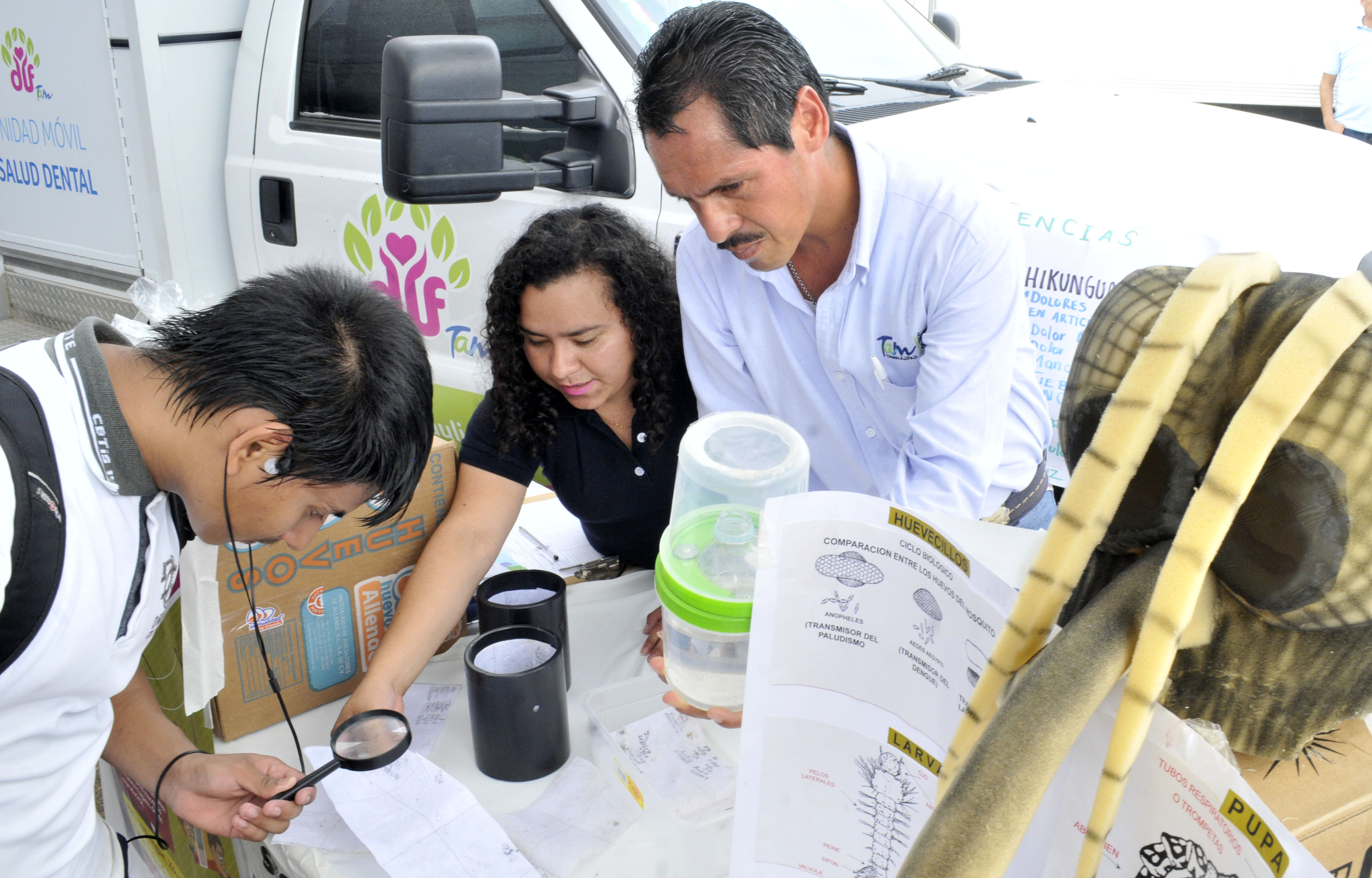 Disminuyen en Tamaulipa los casos de dengue