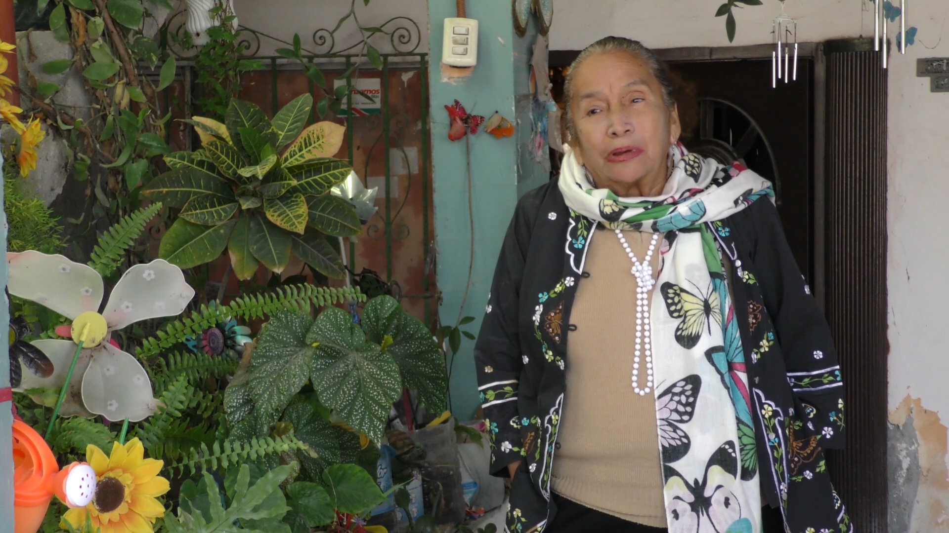 CIUDADANOS PROPONEN A LA MTRA. ELVIRA VÁZQUEZ PRESIDENTA DE LOS «NIÑOS ECOLOGISTAS DE REYNOSA A.C.” PARA QUE SEA ELLA QUIEN RECIBA LA MEDALLA AL MÉRITO CIUDADANO.