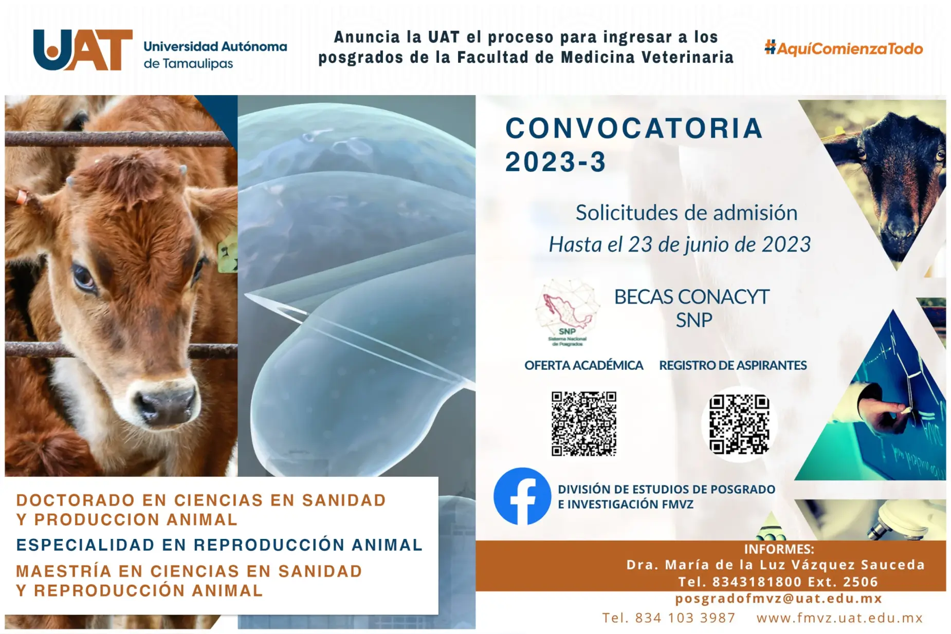 ANUNCIA LA UAT EL PROCESO PARA INGRESAR A LOS POSGRADOS DE LA FACULTAD DE MEDICINA VETERINARIA