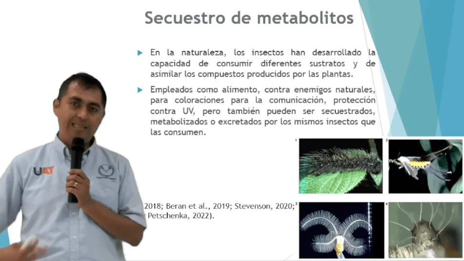 DESCUBRE UAT COMPUESTOS EN INSECTOS COMESTIBLES