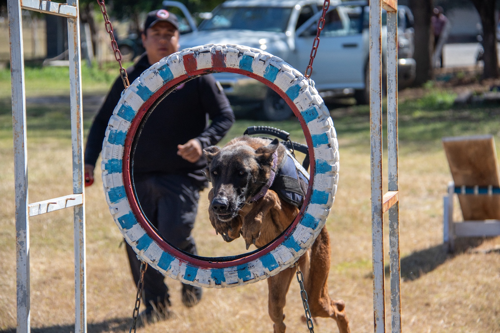 Estudiante de la UAT aporta su experiencia en adiestramiento  canino al servicio comunitario.